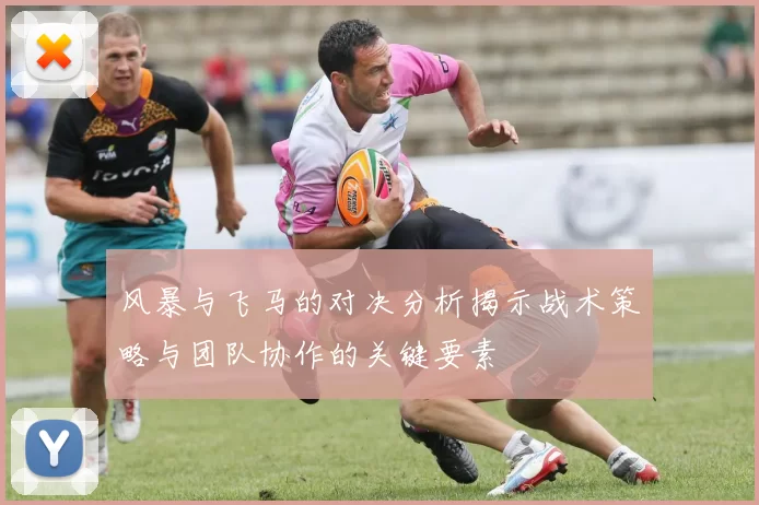 风暴与飞马的对决分析揭示战术策略与团队协作的关键要素