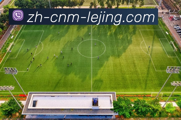 App Interface Preview